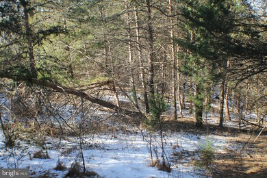 0 Slate Mills Rd unit VARP106142, Sperryville, VA 22740 - photo 5