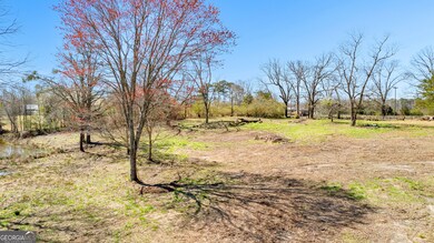 101 Hills Bridge Rd, Fayetteville, GA 30215 - photo 5