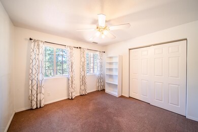 Photo-4