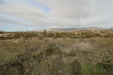 IMG_2558