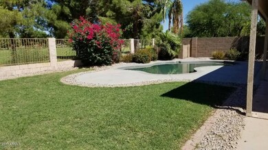 Backyard (3)