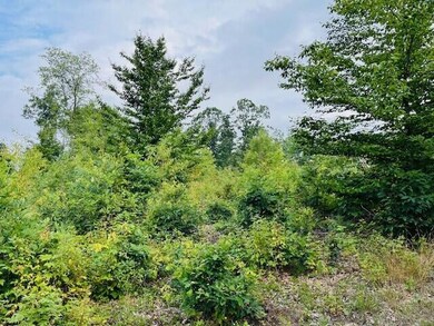 264 S 152nd Ave unit 20 Acres Vacant La, Shelby, MI 49455 - photo 4