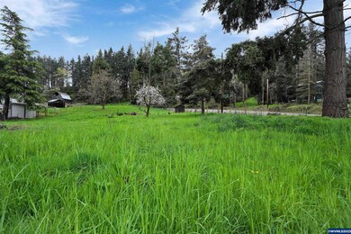 953 Crooked Finger Rd NE, Scotts Mills, OR 97375 - photo 7