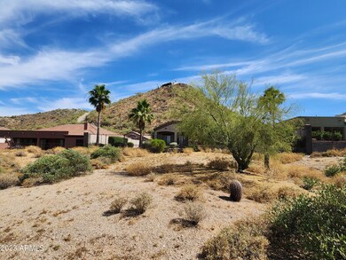 SIDE YARD VIEW 2