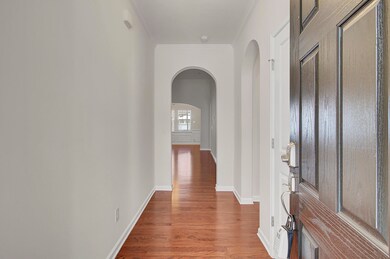 133 Blackwater Way, Moncks Corner, SC 29461 - photo 7