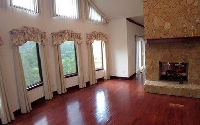 Additional View