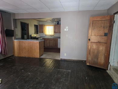 310 S Dundas St, Schaller, IA 51053 - photo 3