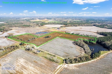 Lot 4 Camp Ground Rd, Claxton, GA 30417 - photo 6