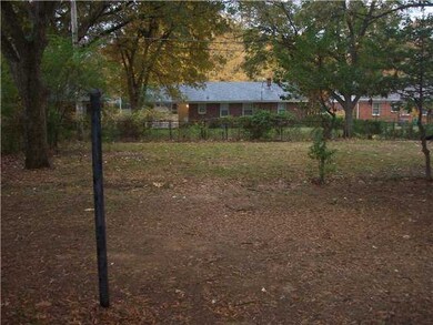 Large back yard