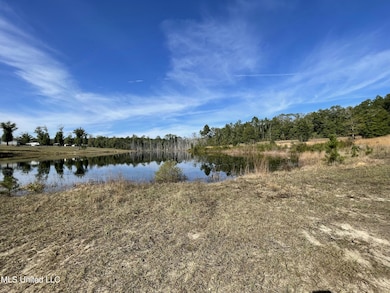 14119 US Highway 98, Lucedale, MS 39452 - photo 7