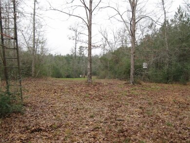 1160 Conerly Dr, McComb, MS 39648 - photo 3