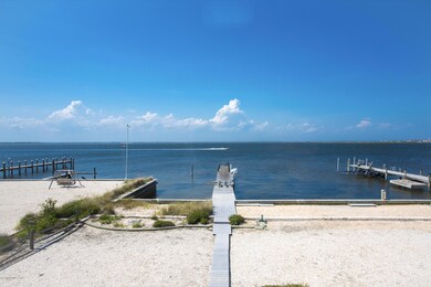 Back Yard View