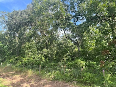 0 Cr 353 unit 12686958, Brazoria, TX 77422 - photo 2