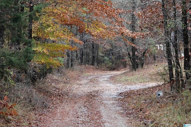 73 acres County Road 93, Bankston, AL 35542 - photo 6