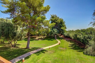 Green Belt View