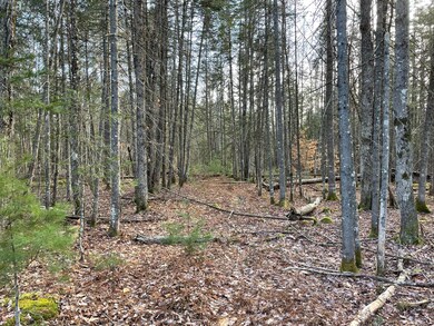 image1 (20)