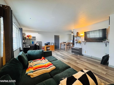 255 Sandia Dr, Fernley, NV 89408 - photo 5