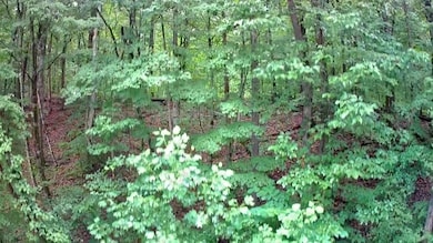 IMG_20250709_1704039