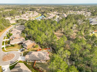 99 twain trail drone 7