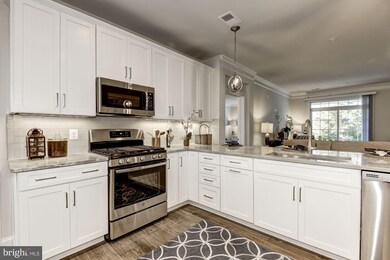 20987 Rocky Knoll Square unit 103, Ashburn, VA 20147 - photo 4