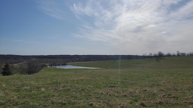 Lot 2 N Farm Road 61, Walnut Grove, MO 65770 - photo 2