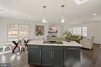 900 Banks Place, Alexandria, VA 22312 - photo 5