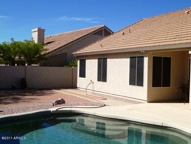 Pool and Backyard