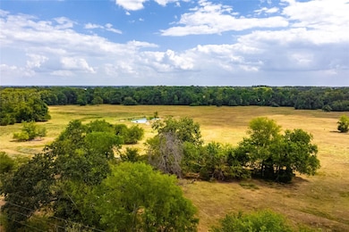 0 S Farm Road 269 unit 18127800, Pickton, TX 75471 - photo 6