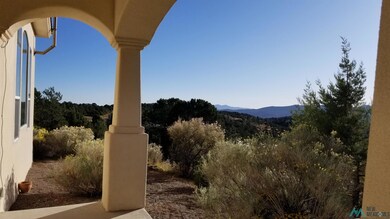 4520 N Swan St, Silver City, NM 88061 - photo 7