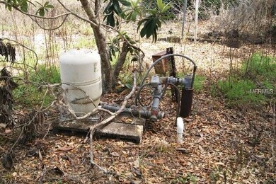 WELL BUT NO PUMP