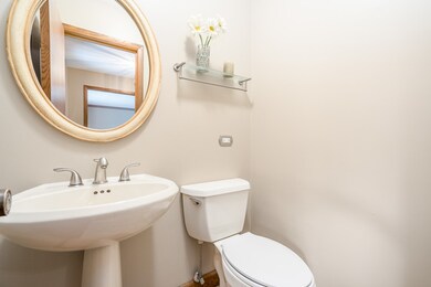 479 Cassin Rd, Naperville, IL 60565 - photo 2