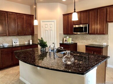 10606 Carmona, Helotes, TX 78023 - photo 4