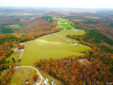45.32 Acres Latham Rd, Eva, AL 35621 - photo 2