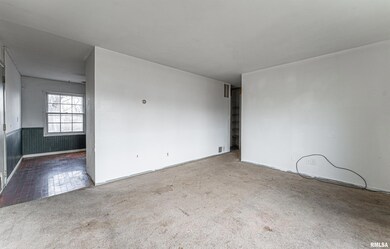 146 Carter Ln, Lincoln, IL 62656 - photo 3