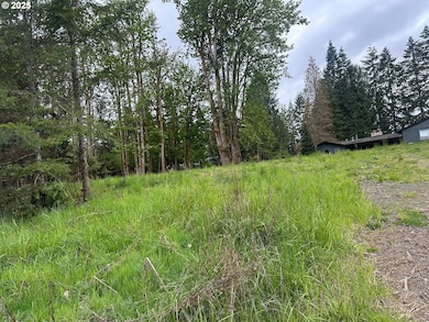 0 Ave unit 439855536, Vernonia, OR 97064 - photo 2