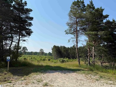 Parcel A1 E Kasson Rd, Maple City, MI 49664 - photo 4