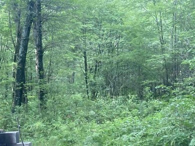 60 Acres 22nd St, Cutler, WI 54618 - photo 3