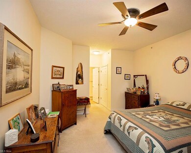 702 Aqua Marine Blvd unit 21, Avon Lake, OH 44012 - photo 7