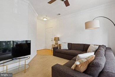 1724 Kingsgate Ct unit 301, Alexandria, VA 22302 - photo 4