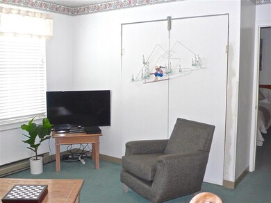 28 Packards Rd unit 320, Waterville Valley, NH 03215 - photo 5