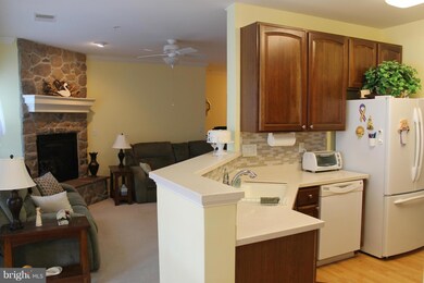 11160 Chambers Ct unit M, Woodstock, MD 21163 - photo 5