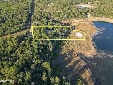 4660 Grassy Pond Rd, Chipley, FL 32428 - photo 6