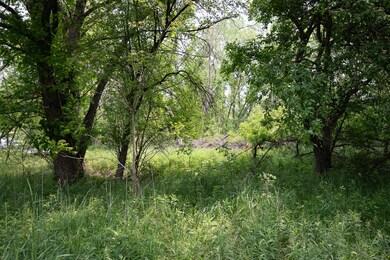 Cedar Springs Property-10