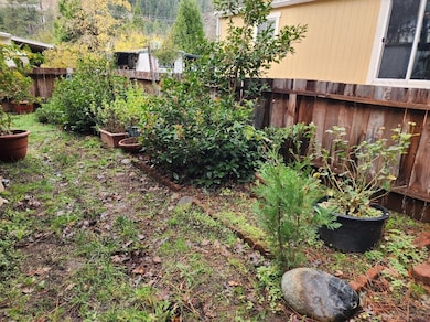 114 Riverwood Ln, Dunsmuir, CA 96025 - photo 4