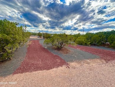 1826 Howard Place, Show Low, AZ 85901 - photo 3