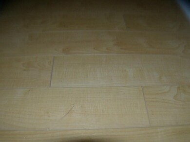 Other. New floors in living and dining room
