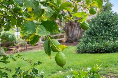 41070 Avenida Verde, Temecula, CA 92591 - photo 3