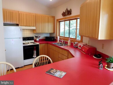 3655 Preserve Rd, Maysville, WV 26833 - photo 7