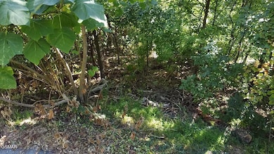 2025-09-12-10-36-06-017