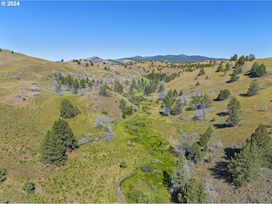 0 Davis Creek Rd unit 22199563, John Day, OR 97845 - photo 3